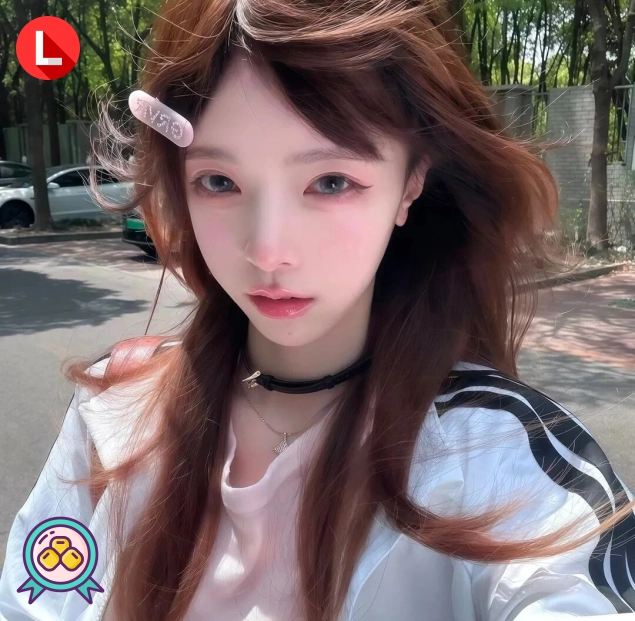 北城旧梦